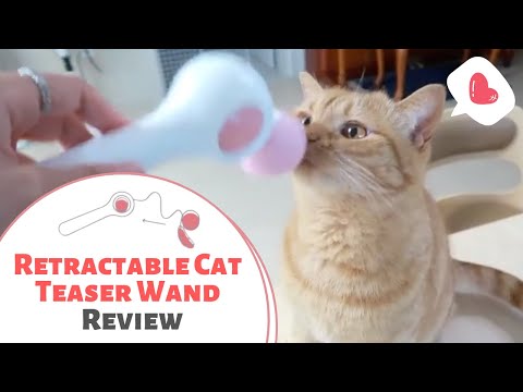 Retractable Cat Teaser Wand Review - A Fairy Wand for Cats