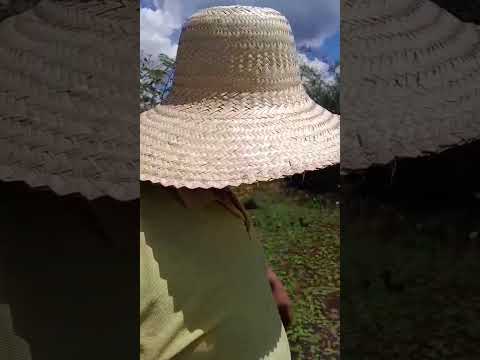 Rio Burriti povoado de Coqueiro município de São Bernardo-MA 