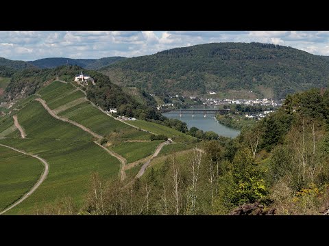Wandelen langs de Moezel - Moselsteig etappe 14 - Reil-Zell