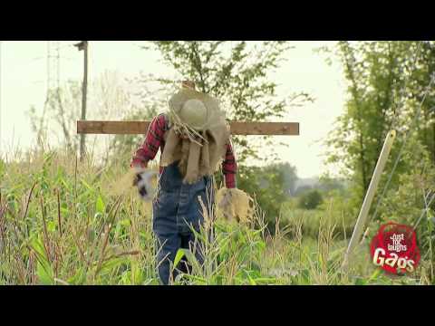 Don't Piss Off the Scarecrow - Hilarious!