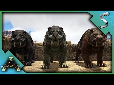 HIGHLEVEL SABERTOOTH PACK TAMING! - Ark: RAGNAROK [DLC Gameplay S3E9]