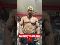 Sunday workout 💪🏻#bodybuilding #shortsvideo #bicepsworkout #triceps #sundayworkout #motivation