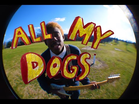 Copertina del video