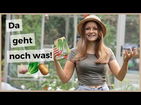 12 vegetables you should plant in October!