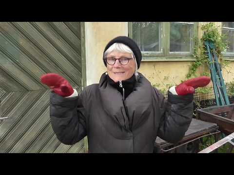 Fönsterrenoveringens dag - lär dig mer!