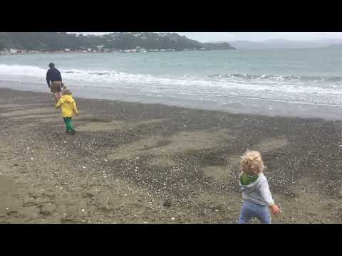 Seatoun beach, Wellington, NZ