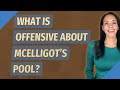 What is offensive about McElligot's pool?