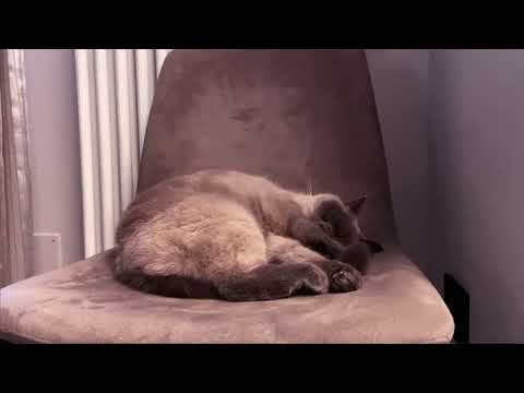 Замок межкомнатный магнитный KOBLENZ SPINOFF Y85 KM.002.CM.A.4.COV с доводчиком