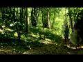 PIANO CLUB - ELEPHANT IN A ROOM 