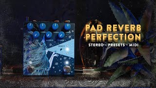 Video thumbnail for Old Blood Noise Endeavors Dark Star Stereo Soundscape Reverb by The Pedal Zone
