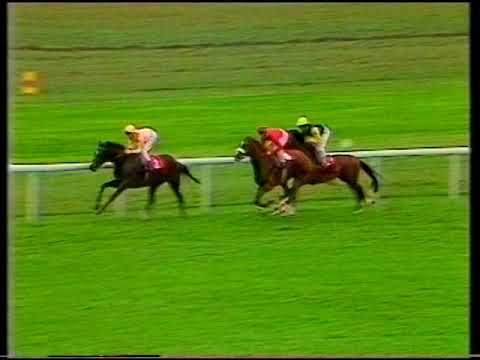 1989 Jockey Club Cup