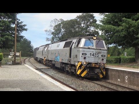 MZ's 1435 & 1445 | Minto to Goulburn | 11th December 2016