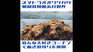 スマトラオオヒラタ用の菌糸材をカワラタケどはなく、ぶなしめじで作ってみた！なぜなら、有名昆虫店がネット通販で販売商品画像とは異なる商品を送りつけて、そうゆうもんだからあと納得させようとしてきたから。