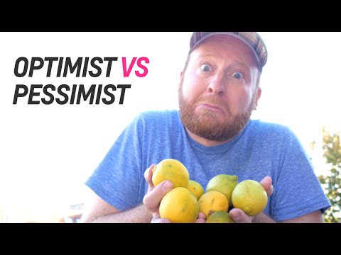 Optimisten VS Pessimisten — Doktor Allwissend