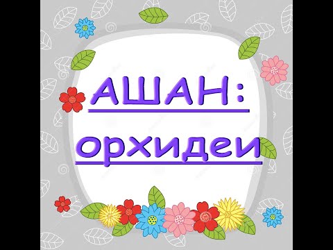 Небольшой ЗАВОЗ ОРХИДЕЙ в АШАНЕ к 1сентября,ТЦ"Космопорт",30.08.20,Самара.