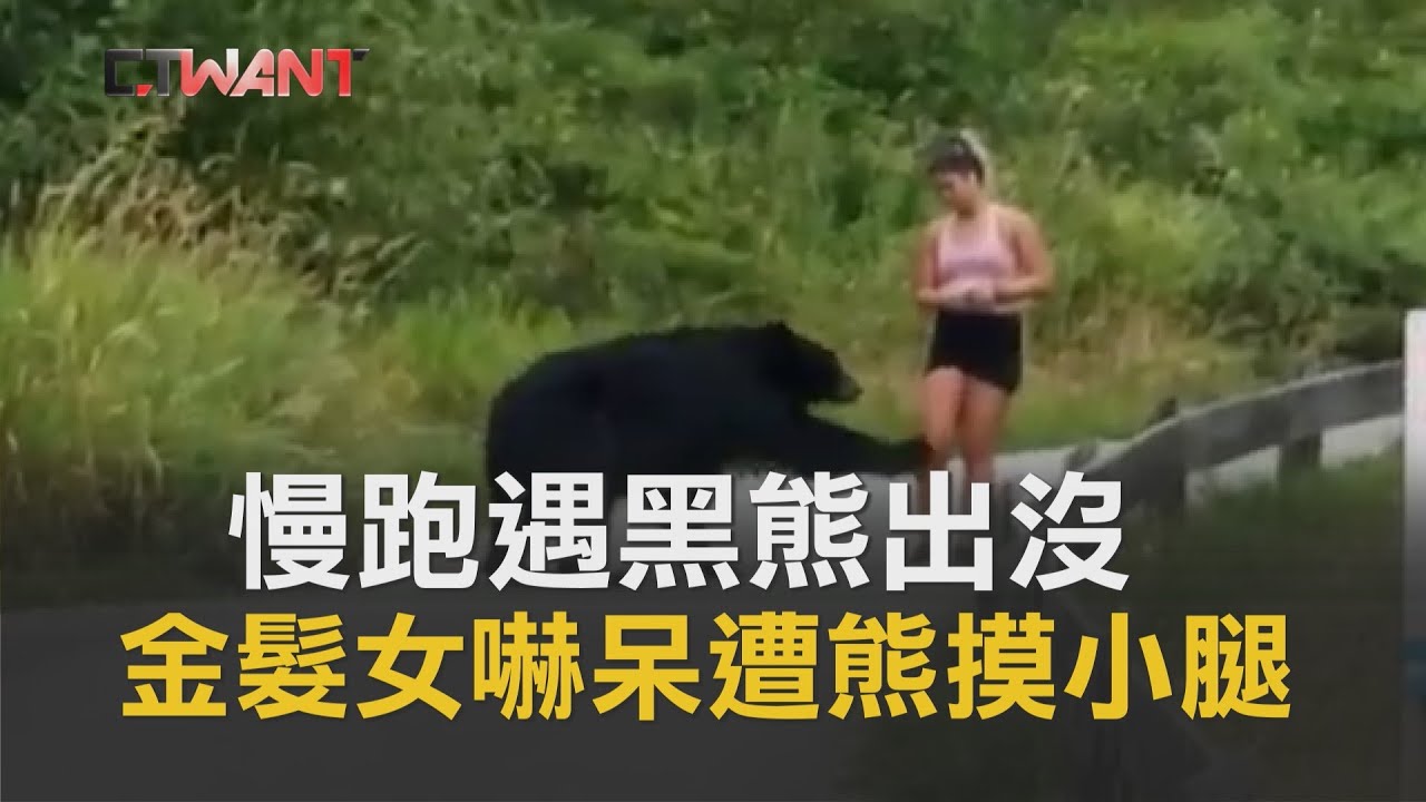 圖說-CTWANT 即時新聞》慢跑遇黑熊出沒　金髮女嚇呆遭熊摸小腿