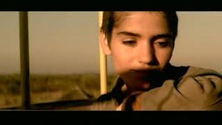 Trailer Ryna