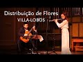 Distribuição De Flores Villa Lobos Duo Di Mento Petrucci