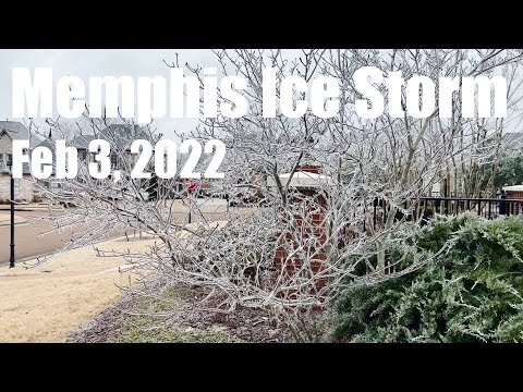 Memphis Ice Storm.  February 2022
