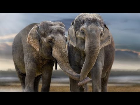 SHIRLEY AND JENNY REUNITED...SEPARATED FOR 22 YEARS...UPDATE