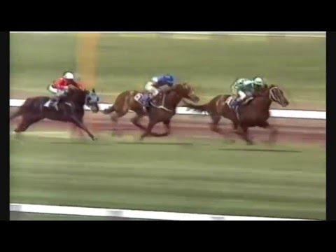 1984 VRC Derby Day_  Derby _ Pure Pak Stakes _ Mackinnon Stakes