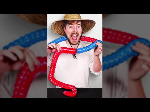 World's Largest Gummy Worm
