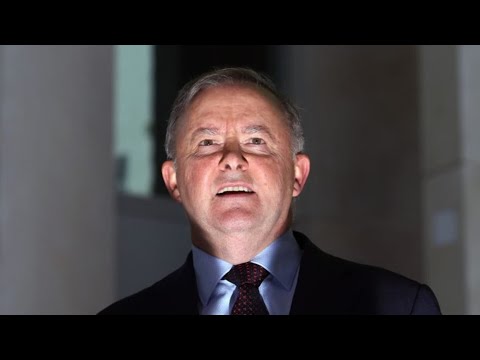 Albanese’s 2025 report card: From landslide win to moral collapse