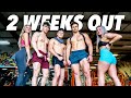 2 WEEKS OUT COLLEGIATE NATIONALS | SQUATS COMING BACK!!