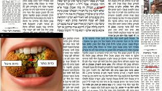 דף יומי מסכת זבחים דף עח Daf yomi Masechet Zevachim page 78  ע"י יוני גוטמן (שיעורי הדף היומי ב-20 דקות - מועבר ע"י ר' יוני גוטמן - לעילוי נשמת אביו ר' אלימלך צבי (צביקה) גוטמן ז"ל) - התמונה מוצגת ישירות מתוך אתר האינטרנט יוטיוב. זכויות היוצרים בתמונה שייכות ליוצרה. קישור קרדיט למקור התוכן נמצא בתוך דף הסרטון