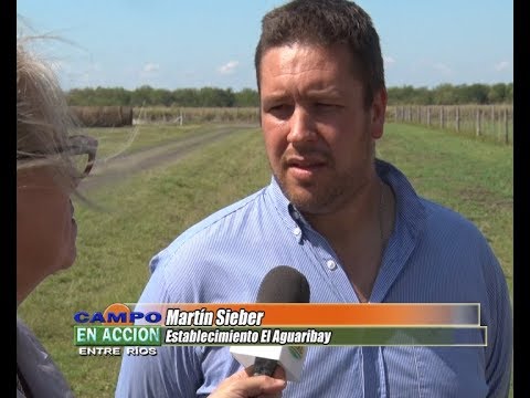 Martín Sieber  - Tercera edición de la Prueba Pastoril del Litoral 2018