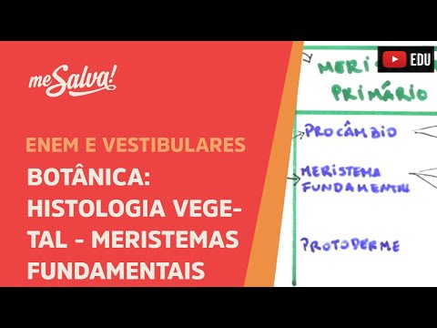 Me Salva! BOT16 - Botânica - Histologia vegetal: meristemas fundamentais