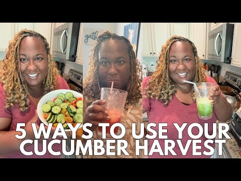 5 Ways to Preserve and Use Your Cucumbers from Garden
