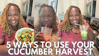 5 Ways to Preserve and Use Your Cucumbers from Garden