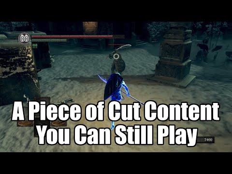 Dark Souls: How to Invade Shiva Without Mods