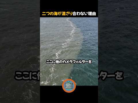 大西洋には海藻帯が広がっている