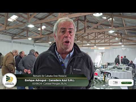 05-09-24 - Enrique Adrogué - Ganadera Azul S.R.L.- Coronel Pringles, Bs.As.