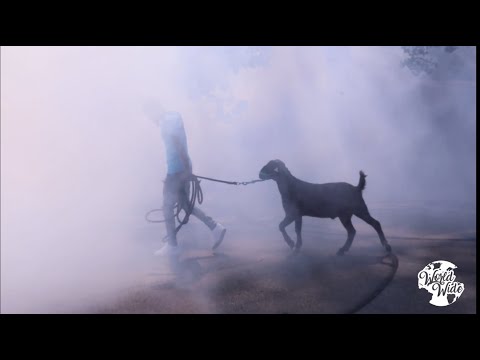 DELO Life Changes (Official video)