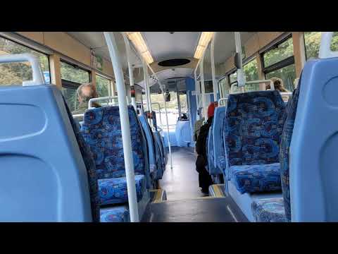 Frustratingly Slow Route | Service 33: 254/NK54NUU - Scania LN94UB Wright Solar