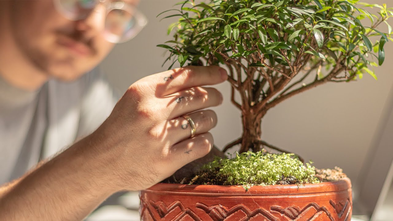 The 3 Key Points of a Happy Life (Mental Minimalism)