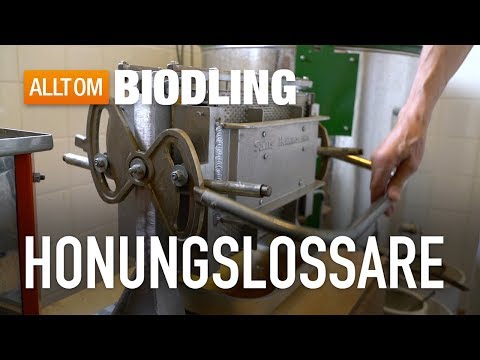 Honungslossare för ljunghonung - Biredskap - Biodling