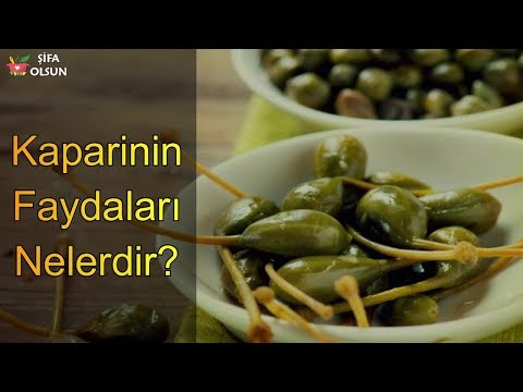 download lagu mp3 mp4 Kaparinin Faydalar, download lagu Kaparinin Faydalar gratis, unduh video klip Kaparinin Faydalar