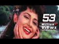 Hum To The Anjaane - Yaar Dilbar Yaar Lyrics - Jungle Love