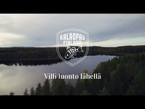 Kalaopas Finland - opastetut kalastureissut Savossa / kesäkalastusta ja eräruokaa Suur-Pettäisellä