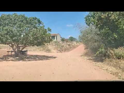 Nas estradas do sertão aqui na zona rural de Araripina Pernambuco 
