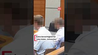 Keine Gerechtigkeit für toten Kater „Schmotzer“