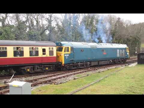 50042 arrives at Bodmin Road (Parkway) - BWR diesel gala 28/3/2010