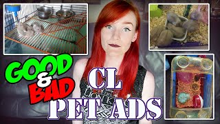 My Fans Show Me Their Pet Ads! | Craigslist Pet Ads | Munchie's Place