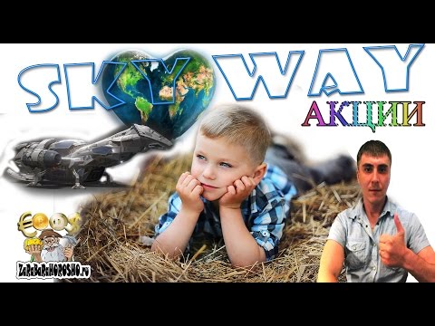 SKY WAY CAPITAL финансирование в доли вывод денег