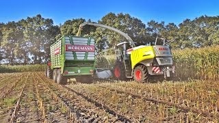 preview picture of video '*Maishäckseln 2013* [Fendt,New Holand,Case,Claas]'