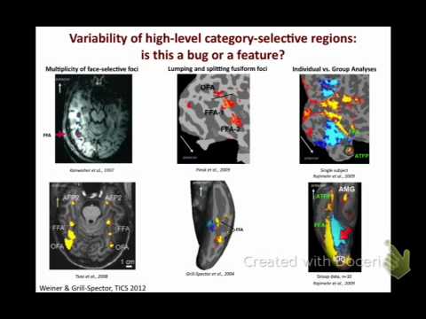 Functional Organization
